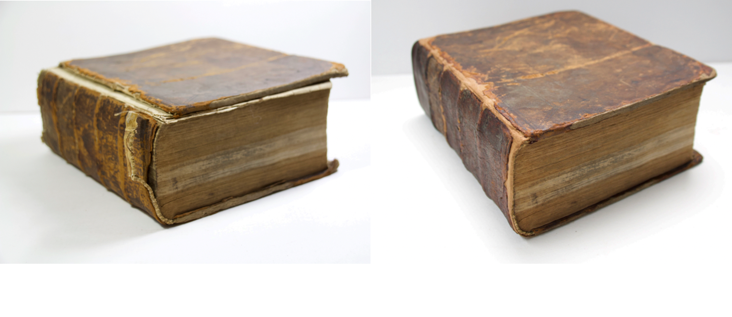 vorher-nachher-buch neu